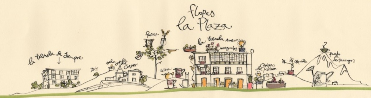 FLORES LA PLAZA. Teléfono 985 811 511  /  Consultar existencias de flor y planta natural antes de realizar pedido