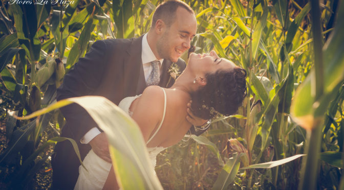 Boda Vanesa y Diego