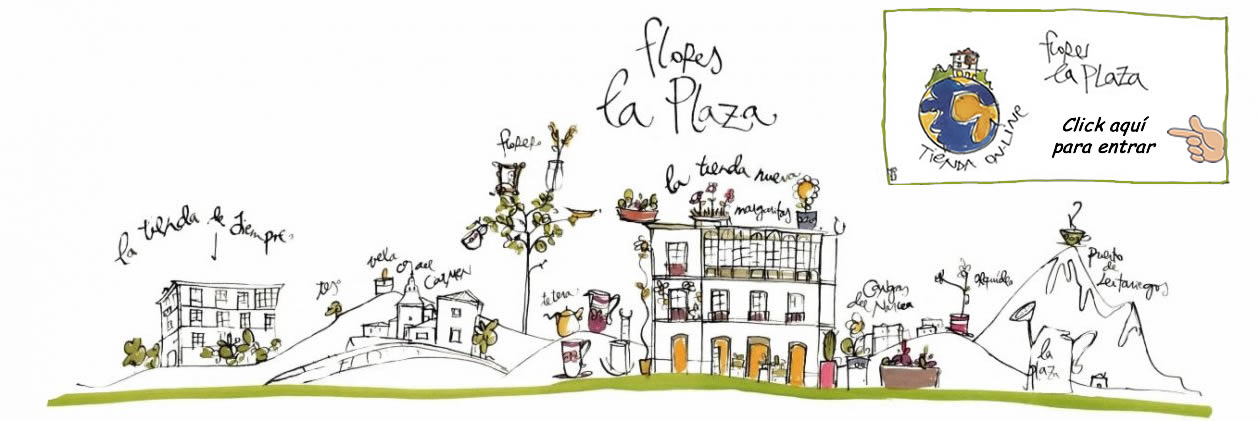 FLORES LA PLAZA. Teléfono 985 811 511  /  Consultar existencias de flor y planta natural antes de realizar pedido